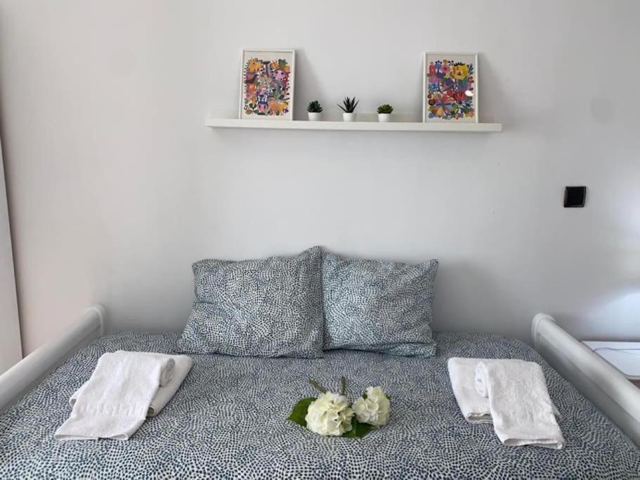 Apartamento Soltova Casar de Cáceres Dış mekan fotoğraf